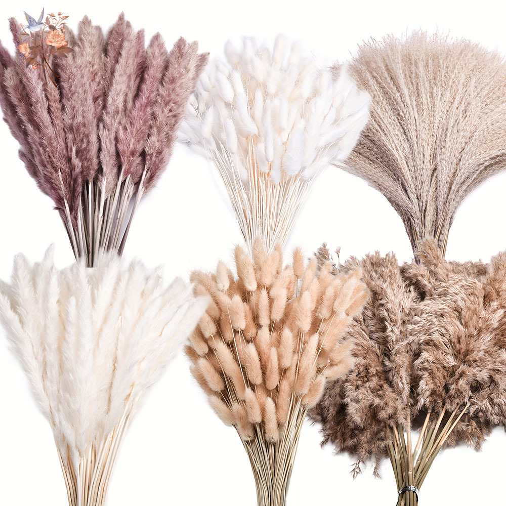 Dried Flower Bouquet - 320 قطعة من زهور البامباس الكبيرة