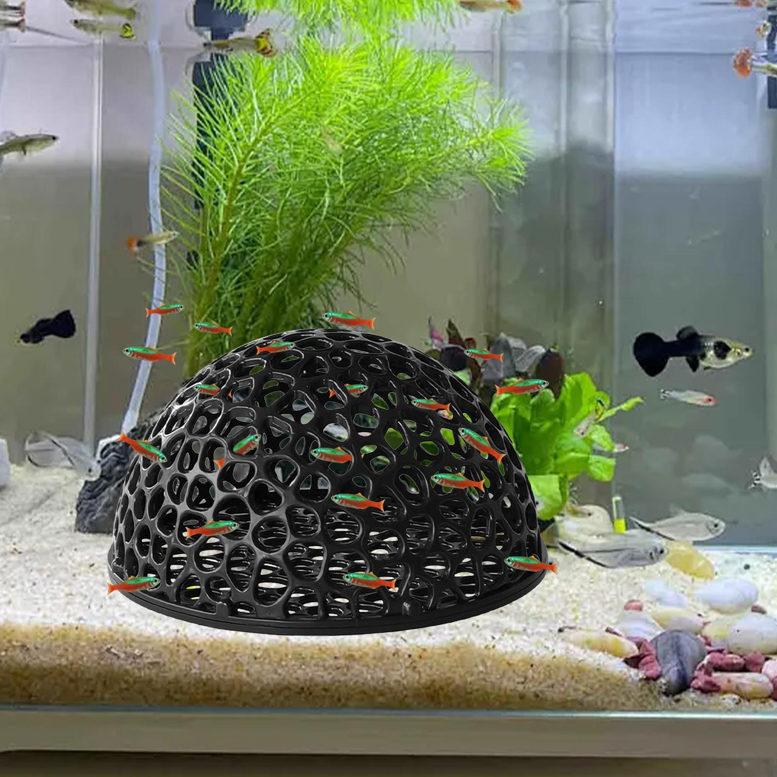 Home Decor Habitat - كهف تربية الروبيان، حوض أسماك، مخبأ