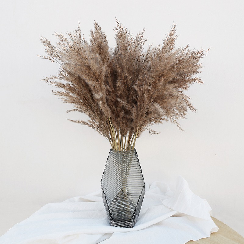10 قطع من أعشاب البامباس الطبي - مراجعة Dried Flower Bouquet وسعره