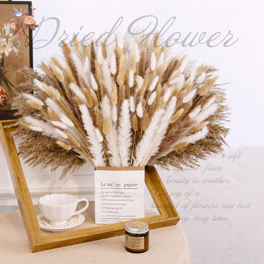 320 قطعة من زهور البامباس الكب - مراجعة Dried Flower Bouquet وسعره