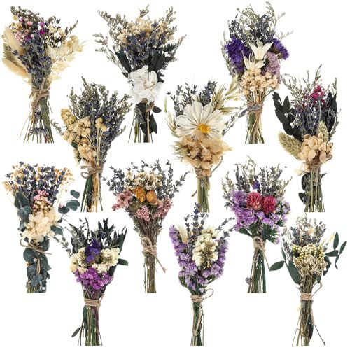 12 قطعة باقة زهور مجففة صغيرة  - مراجعة Dried Flower Bouquet وسعره
