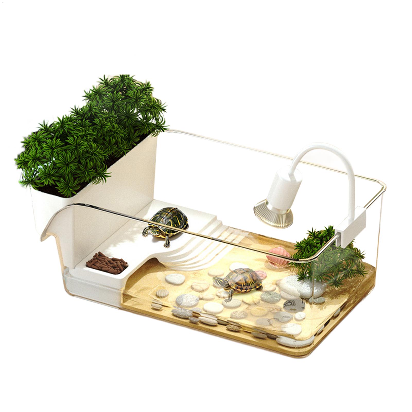 حوض شفاف للسلاحف، تيراريوم زخر - مراجعة Home Decor Habitat وسعره